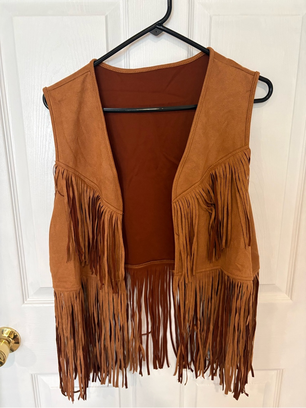 Men's Brown Suede Fringe Leather Jacket - Picture 2 of 5